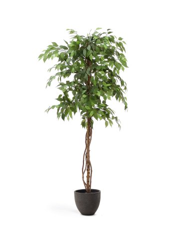 KAVE HOME Kunstig ficus i svart potte 180 cm