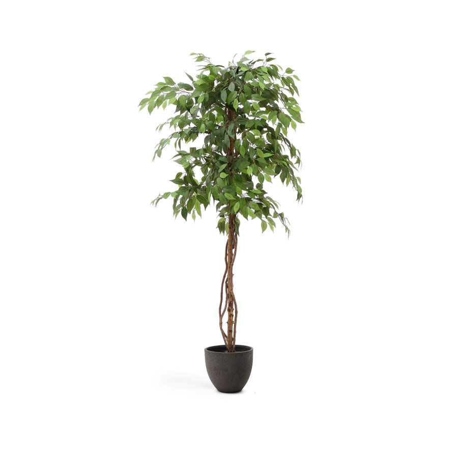 KAVE HOME Kunstig ficus i svart potte 180 cm