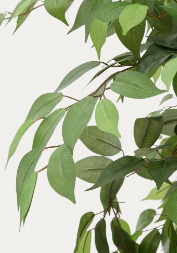 KAVE HOME Kunstig ficus i svart potte 180 cm