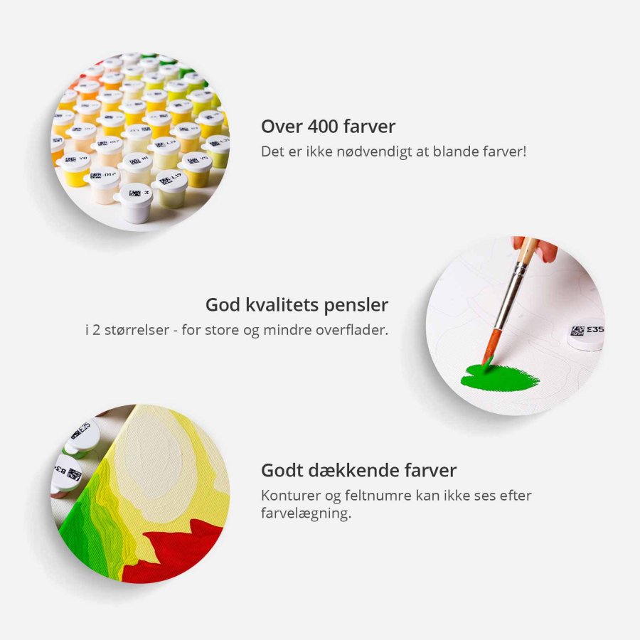 ARTGEIST DIY Verdenskort Colourful maleri - hvidt lrred, inkl. maling og 2 pensler (H: 40cm)