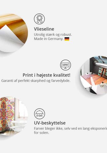 ARTGEIST Poppies in the Moonlight II rumdeler - gr/rd/orange print (172x225)