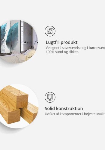 ARTGEIST Poppies in the Moonlight II rumdeler - gr/rd/orange print (172x225)