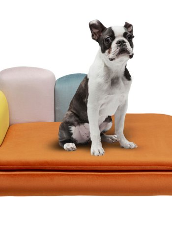 
KARE DESIGN Diva Orange katte- og hundeseng - oransje og multifarget fløyelsstoff, stål

