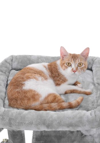 FEANDREA Kradsetr�, Kattet�rn, Bredere S�de til Store Katte, Lysegr� PCT51W