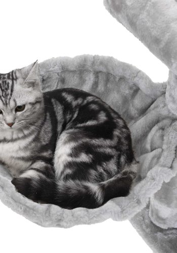 FEANDREA Kradsetr�, Kattet�rn, Bredere S�de til Store Katte, Lysegr� PCT51W