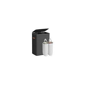 SONGMICS Tv&auml;ttkorg, 193 liters tv&auml;ttkorg, 2 fack, enkel montering, med lock och handtag, uttagbara innerp�sar, 51 x 38 x 74 cm, bl&auml;cksvart ULCB813B01