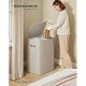 SONGMICS Tv&auml;ttkorg, 193 liters tv&auml;ttkorg, 2 fack, enkel montering, med lock och handtag, uttagbara innerp�sar, 51 x 38 x 74 cm, cappuccino beige ULCB813L01