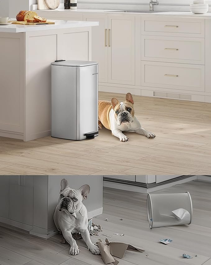 SONGMICS LTB593E01 30 liters pedalhink i st�l med innerhink, mjukst&auml;ngning och &ouml;ppningsgrepp, metallic silver LTB593E01