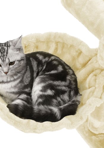 FEANDREA Kradsetr�, Kattet�rn, Bredere S�de til Store Katte, Beige PCT51M