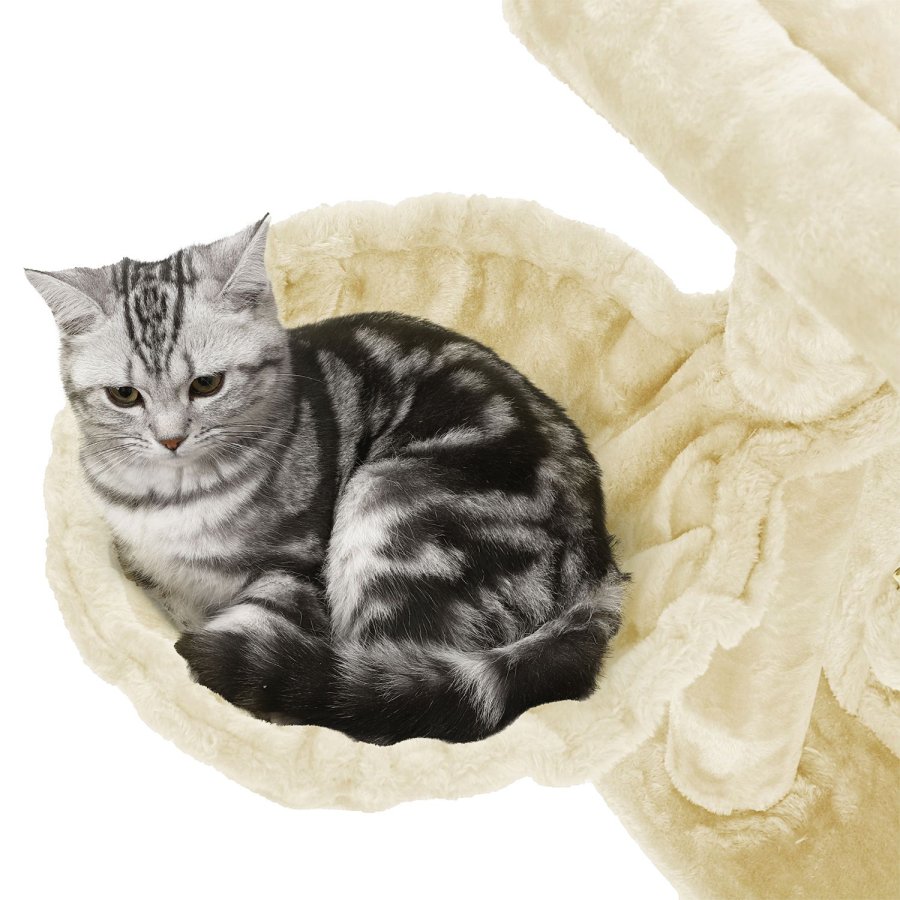 FEANDREA Kradsetr�, Kattet�rn, Bredere S�de til Store Katte, Beige PCT51M