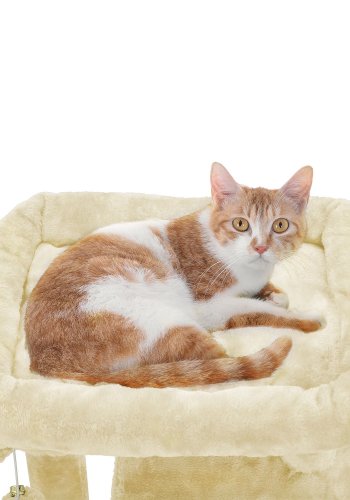 FEANDREA Kradsetr�, Kattet�rn, Bredere S�de til Store Katte, Beige PCT51M