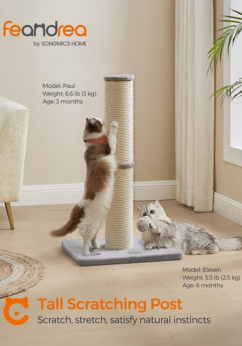 FEANDREA kl�str�d f�r katt, 89 cm h�g kl�str�d f�r medelstora och stora katter, sisal kl�str�d, fj�derpompom med inbyggd klocka, duvgr� UPCA041G01