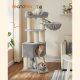 FEANDREA Kradsetr� til store katte PCT002N01