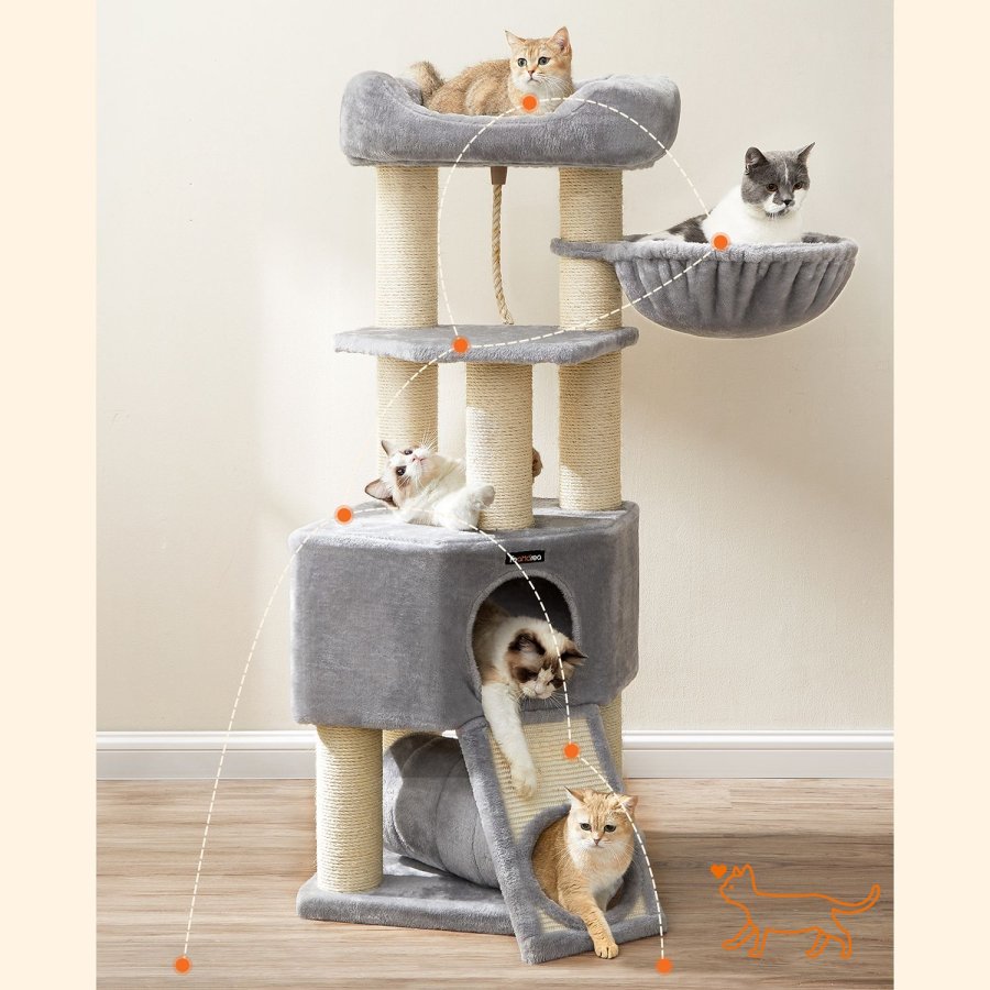 FEANDREA Kradsetr� til store katte PCT002N01