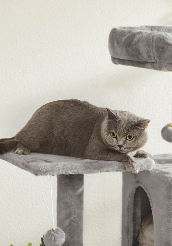 FEANDREA Kradsetr�, Kattehus med h�ngek�je, 143 cm, Lysegr� PCT161W01