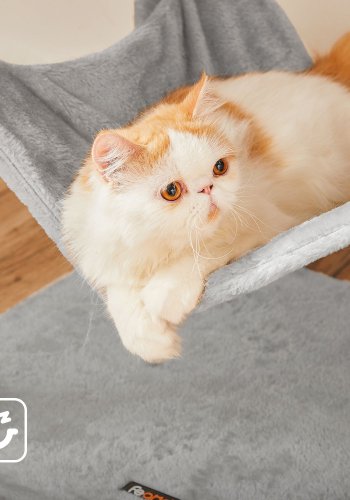 FEANDREA PCT162W01 Kradsetr� til Katte med Bl�dt Betr�k Gr� Bl�