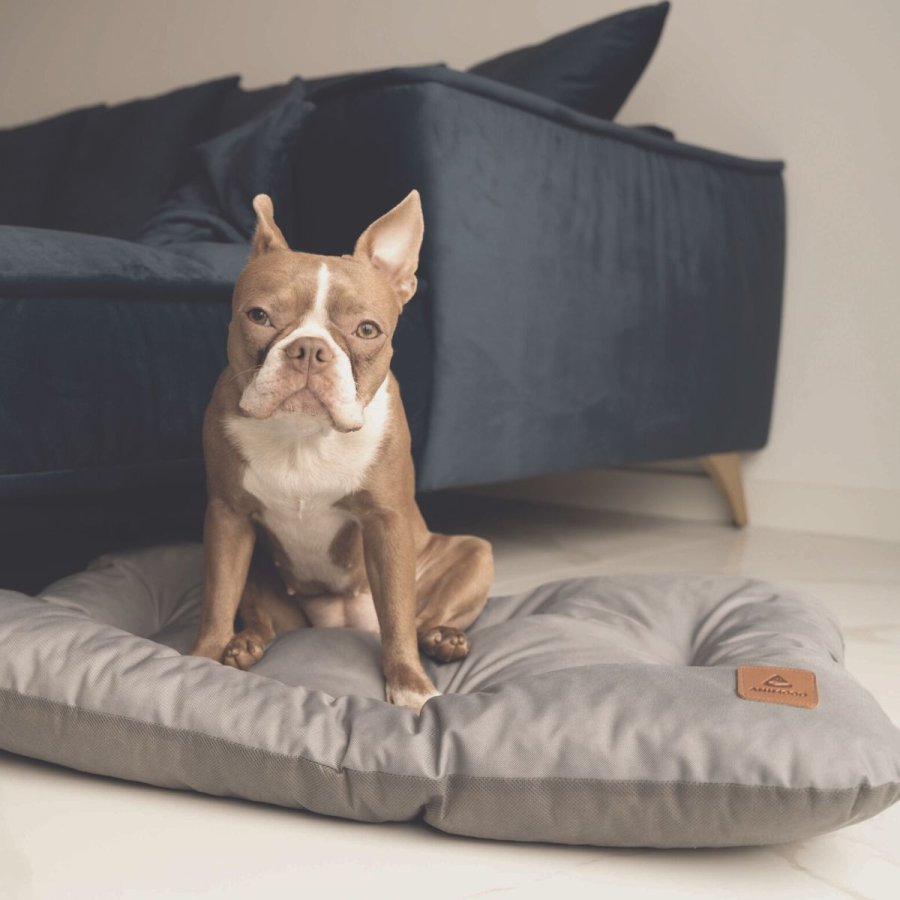 ANIMOOD Mort hundeseng, rektangulr - gr wigofil (93x73)