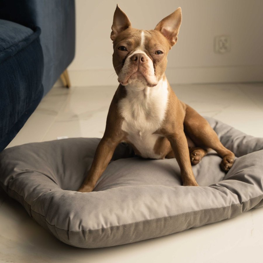 ANIMOOD Mort hundeseng, rektangulr - gr wigofil (93x73)