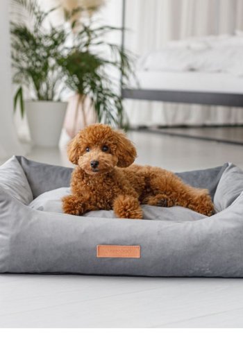 ANIMOOD Alex hundeseng, rektangulr - gr flyelsstoff (66x79)