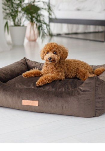 ANIMOOD Alex Hundebett, rechteckig - brauner Samtstoff (69x57)