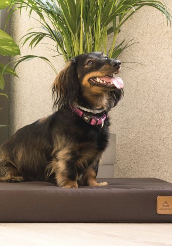 ANIMOOD Melman orthopädisches Hundebett, rechteckig - braunes Wigofil (90x56)