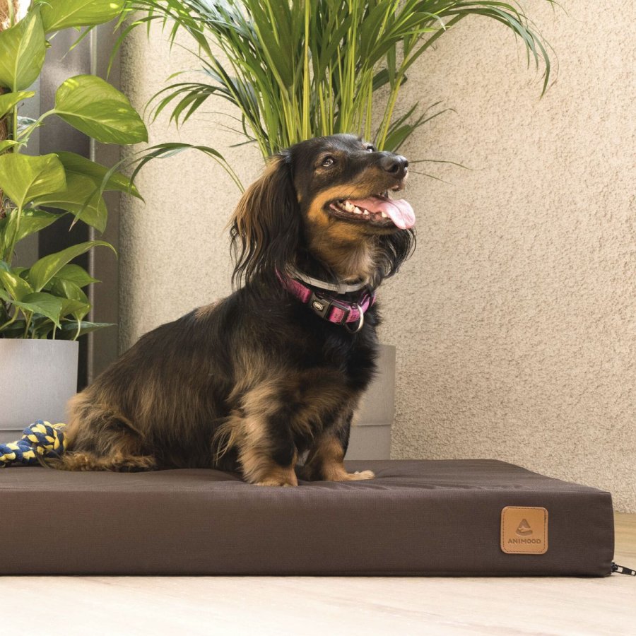 ANIMOOD Melman orthopädisches Hundebett, rechteckig - braunes Wigofil (122x76)