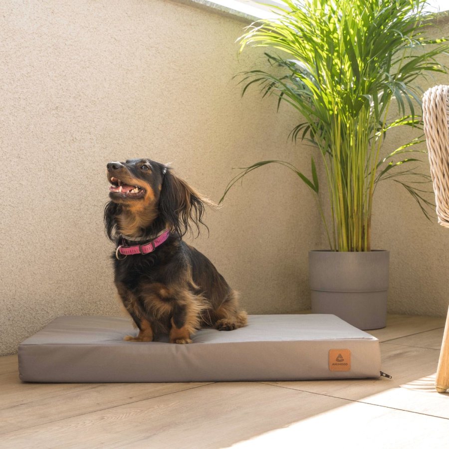 ANIMOOD Melman orthopädisches Hundebett, rechteckig - graues Wigofil (122x76)