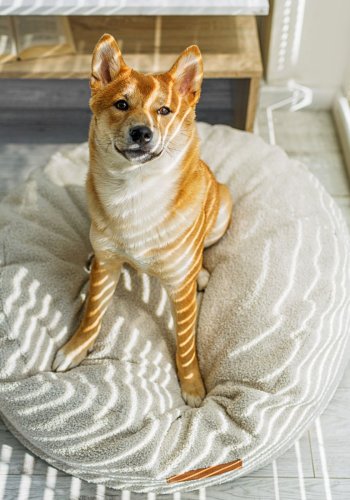 ANIMOOD Coco Pouf für Haustiere, rund – hellbeiger recycelter Bouclé-Stoff (67)