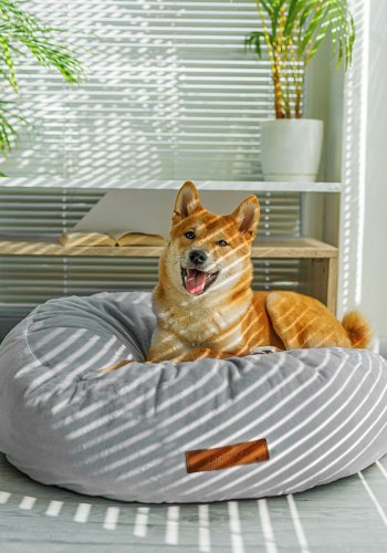 ANIMOOD Molly Pouf für Haustiere, rund – hellgrauer Samtstoff (67)