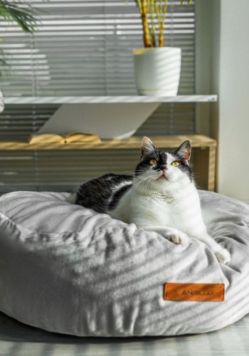 ANIMOOD Molly Pouf für Haustiere, rund – hellgrauer Samtstoff (67)