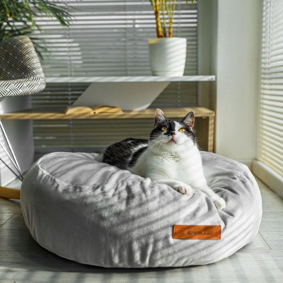 ANIMOOD Molly Pouf für Haustiere, rund – hellgrauer Samtstoff (67)