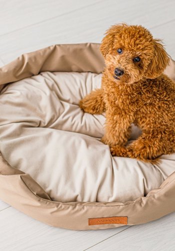 ANIMOOD Mia hundeseng, oval - beige flyelsstoff (72x61)