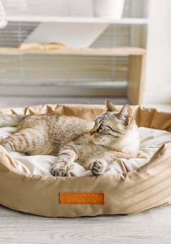 ANIMOOD Mia hundeseng, oval - beige flyelsstoff (62x51)