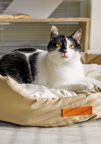 ANIMOOD Mia hundeseng, oval - beige flyelsstoff (62x51)