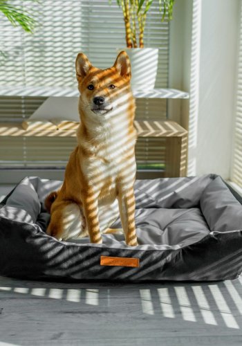 ANIMOOD Milo gestepptes Hundebett, rechteckig – grau und Wigofil-Stoff (76 x 60)