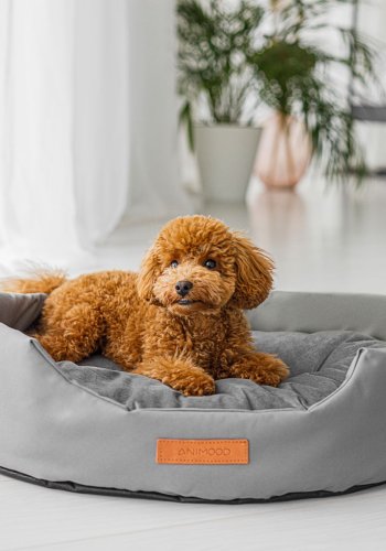 ANIMOOD Mia hundeseng, oval - gr flyelsstoff (62x51)