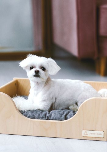 ANIMOOD Marti hundeseng, m. lysegr pute - naturlig kryssfiner (49x35)