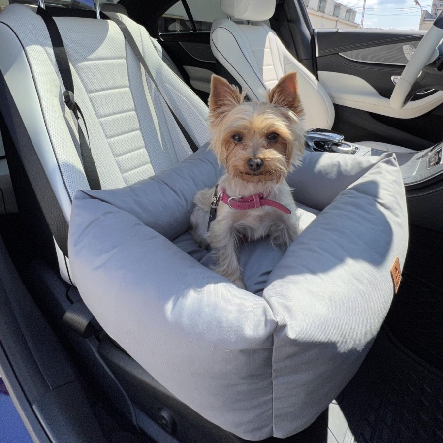 ANIMOOD Julian Haustier-Autositz, rechteckig - grau (56x51)