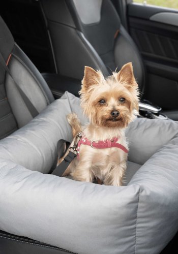 ANIMOOD Julian Haustier-Autositz, rechteckig - grau (56x51)