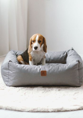 ANIMOOD Maurice Hundebett, rechteckig - Grau und Wigofil (61x70)