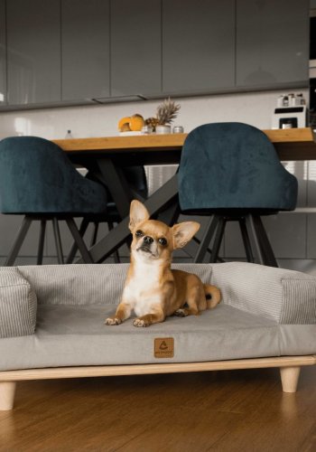 ANIMOD Sonya sofa for kjledyr, rektangulr - gr flyel og furu (67x53)