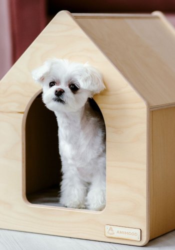 ANIMOOD Rico hundehus, med velurpute, rektangulr - naturlig kryssfiner (65x56)