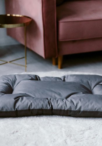 ANIMOOD Mort hundeseng, rektangulr - gr wigofil (93x73)