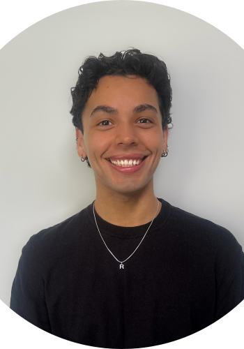 BROSTE COPENHAGEN Franca utendrs sittepute, rektangulr - hst gullbomull (44x42)