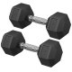 SONGMICS Hantelset, Paar sechseckige Hanteln, Gesamtgewicht 20 kg, Training, Fitnesstraining, Gewichtheben zu Hause, Fitnessstudio, Tintenschwarz SYL010B01