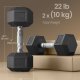 SONGMICS Hantelset, Paar sechseckige Hanteln, Gesamtgewicht 20 kg, Training, Fitnesstraining, Gewichtheben zu Hause, Fitnessstudio, Tintenschwarz SYL010B01