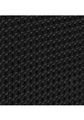 Exquisiter Schrank mit 2 Türen und 2 Einlegeböden – schwarzes Polyrattan und schwarzes Melamin