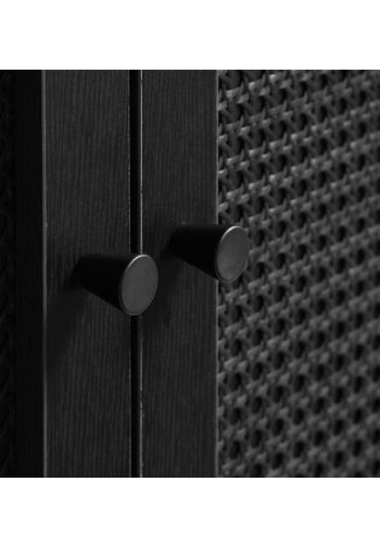 Exquisiter Schrank mit 2 Türen und 2 Einlegeböden – schwarzes Polyrattan und schwarzes Melamin