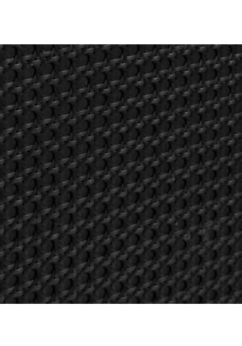 Exquisiter Fernsehtisch mit 2 Türen und 1 Ablage - schwarzes Polyrattan und schwarzes Melamin (120x40)