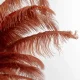 KARE DESIGN Feather Palm gulvlampe - rustrd strudsefjer og messing stl